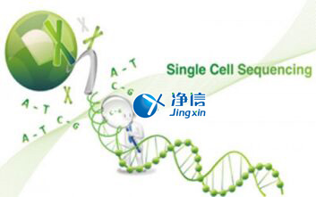 中國人自己的微流控單細胞測序儀來了！_微流控Drop-seq,微流控技術