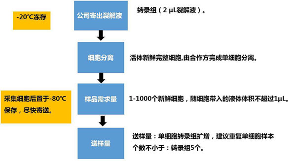 RNA-seq單細(xì)胞轉(zhuǎn)錄組測(cè)序在眼科領(lǐng)域中的研究應(yīng)用